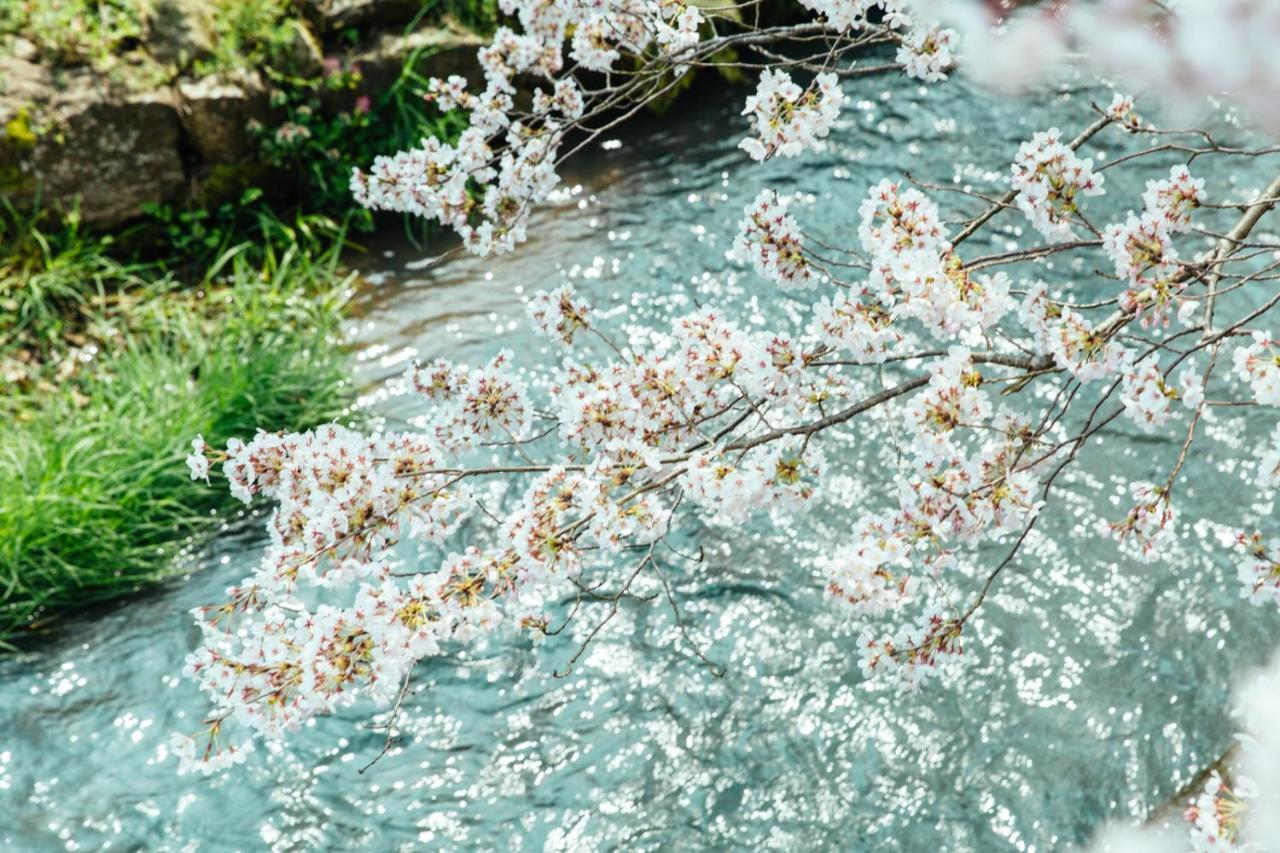 Taos 丹波の風土を感じられる一棟貸切の宿 Tamba-Sasayama Esterno foto